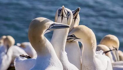 PG电子官网：开启极致娱乐的新纪元